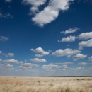 Image of high prairie on sunny day