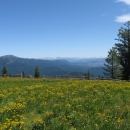 a green meadow with hills in the background