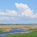 Wetland on Hurons WMD