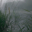 A young hunter in a camouflage cap crouching in talk grass next to a body of water
