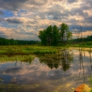 Puffer Pond at Assabet River National Wildlife Refuge 