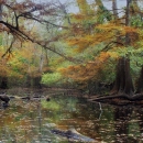 Bayou with overhanging trees and fall colors