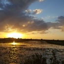 Sunset in the C Impoundments at A.R.M. Loxahatchee NWR