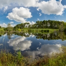View of Ibis Pond with clouds reflecting off of the water.