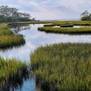 Patches of yellow-green emerge from the water while channels of water reflect a cloudy blue-grey sky.