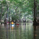 Kayaking on Crawford Lake at Waccamaw National Wildlife Refuge