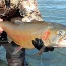 man holding a large fish