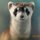 graphic of condor, ferret and polar bear with text that reads endangered species act 50th anniversary, more important than ever