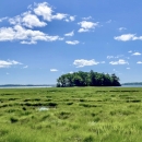 New England tidal marsh on a sunny day along the coast