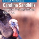 An image of the cover for the bird brochure.