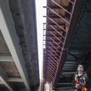 Biologist standing beneath a pair of bridges.