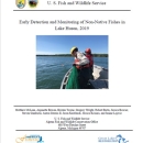 report cover