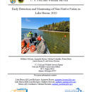 report cover
