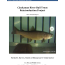 Clackamas River Bull Trout Reintroduction Project 2022 Annual Report
