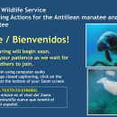 U.S. Fish and Wildlife Service Proposed Listing Actions for the Antillean Manatee and Florida Manatee