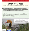 Emperor Goose Harvest Closure Flier for 2025
