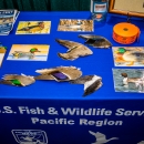 A duck wing identification program as part of an outreach event