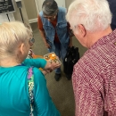 People looking at fossil specimens