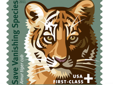 Save Vanishing Species semipostal stamp showing an artistic rendition of an Amur tiger cub