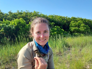 fish and wildlife biologist sits in the marsh holding a sparrow 