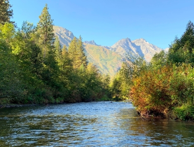 A calm river with trees on both sides and a mountain and blue skies in the distance.
