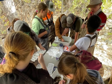 a group of students crowd a table with white tubs full of macroinvertebrates and detritus/decaying leaves