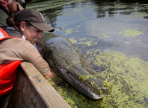 woman holding an alligator gar boatside