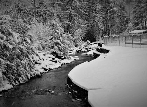 A creek meandering between snow covered banks