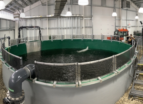 circular tanks used in the PRAS system.
