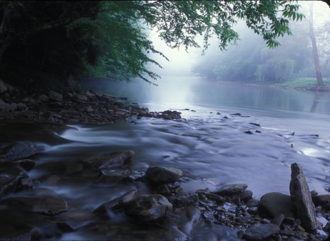 A rocky shoreline of a river. The water is calm. Mist and green branches line the river.