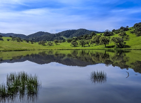Rolling hills behind a pond