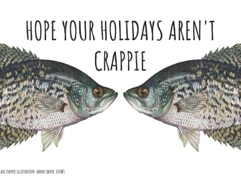 An illustration of two fish called crappies are in front of a white background. The fish seem to look into each other’s eyes. Text over the fish says “Hope your holidays aren’t crappie.” 