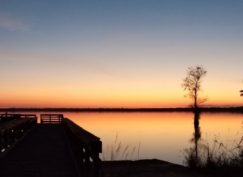 Sunrise over lake with cypress trees and dock