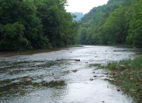 River water running between two banks of green trees under white cloudy sky 