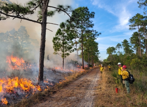 A view down a dirt road with firefighters standing on the right side and small flames on the left side. There are trees interspersed on the landscape.