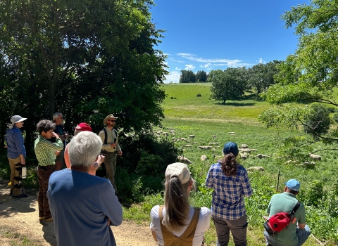 A man addresses a group as they look at a flock of sheep in a field.