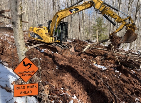 An image of an excavator picking up dirt on a wooded hillside. To the left of the excavator is an old logging road. To the right is dirt and woody debris laying over what was once a logging road. In the bottom left is a graphic of an orange traffic sign that features the silhouette of a salamander and the text, "Salamander Crossing. Road Work Ahead."