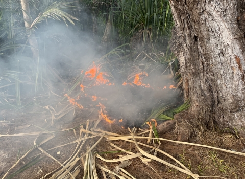 Active ground fire from charcoal 