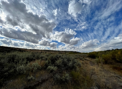A sagebrush landscape can be seen with an expansive, cloudy sky.