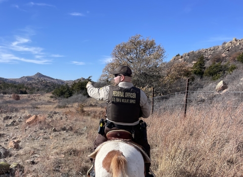 a law enforcement office on horseback ahead leads a horse with the photographer