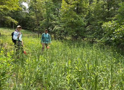 Two people standing in a field of green vegetation with trees in the background
