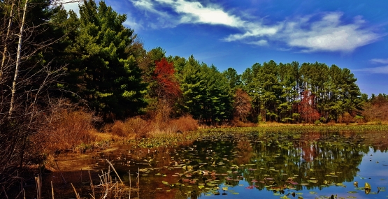 Lake Allen Patuxent Research Refuge